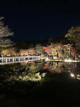 国営昭和記念公園 秋の夜散歩に投稿された画像（2023/11/25）