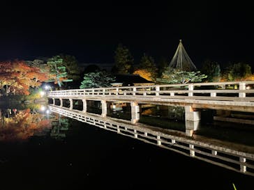 国営昭和記念公園 秋の夜散歩に投稿された画像（2023/11/25）