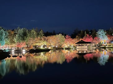 国営昭和記念公園 秋の夜散歩に投稿された画像（2023/11/25）