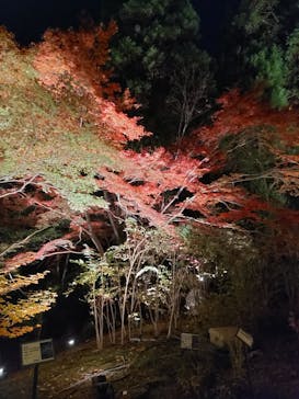 名古屋市東山動植物園に投稿された画像（2023/11/25）