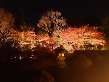 名古屋市東山動植物園に投稿された画像（2023/11/25）