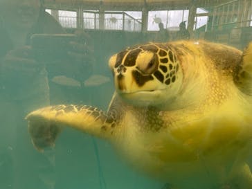 越前松島水族館に投稿された画像（2023/11/25）