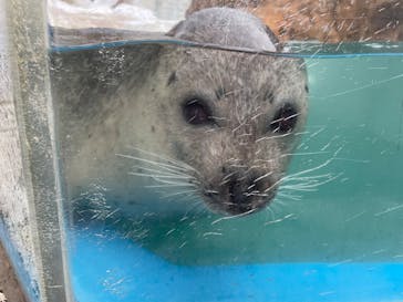 越前松島水族館に投稿された画像（2023/11/25）