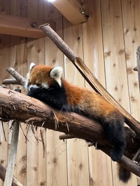 伊豆シャボテン動物公園に投稿された画像（2023/11/25）