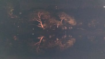 六義園に投稿された画像（2023/11/25）