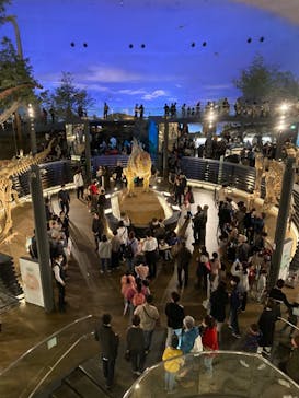 福井県立恐竜博物館に投稿された画像（2023/11/25）