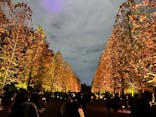 NAKED 紅葉の新宿御苑2023に投稿された画像（2023/11/25）