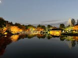 国営昭和記念公園 秋の夜散歩に投稿された画像（2023/11/25）