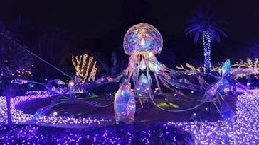 江の島シーキャンドルに投稿された画像（2023/11/25）