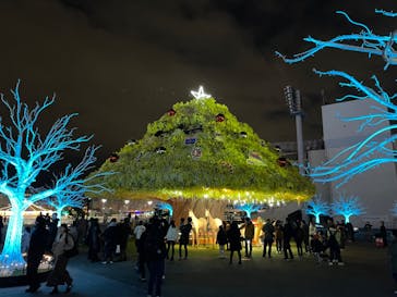 東京メガイルミに投稿された画像（2023/11/25）