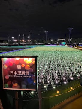 東京メガイルミに投稿された画像（2023/11/25）