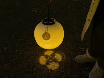 NAKED 紅葉の新宿御苑2023に投稿された画像（2023/11/25）