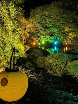 NAKED 紅葉の新宿御苑2023に投稿された画像（2023/11/25）