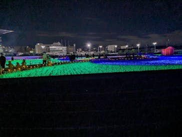 東京メガイルミに投稿された画像（2023/11/25）