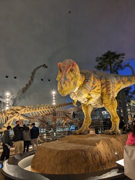 福井県立恐竜博物館に投稿された画像（2023/11/25）