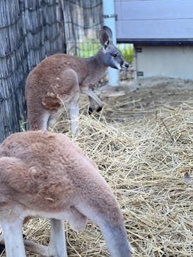 東武動物公園に投稿された画像（2023/11/25）