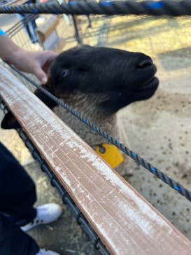 東武動物公園に投稿された画像（2023/11/25）