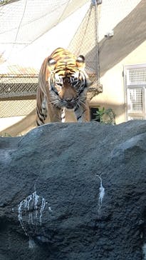 名古屋市東山動植物園に投稿された画像（2023/11/25）