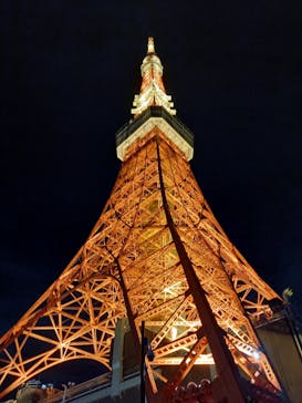 東京タワーに投稿された画像（2023/11/25）