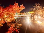 国営昭和記念公園 秋の夜散歩に投稿された画像（2023/11/25）