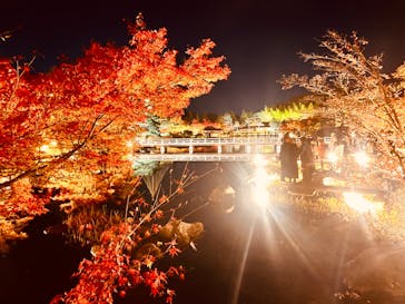 国営昭和記念公園 秋の夜散歩に投稿された画像（2023/11/25）