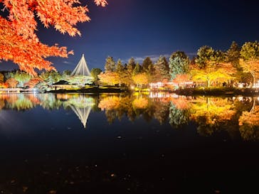 国営昭和記念公園 秋の夜散歩に投稿された画像（2023/11/25）
