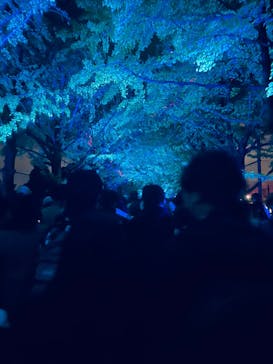 国営昭和記念公園 秋の夜散歩に投稿された画像（2023/11/25）