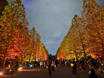 NAKED 紅葉の新宿御苑2023に投稿された画像（2023/11/25）