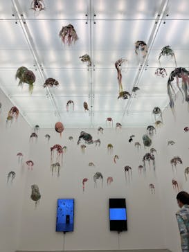 金沢21世紀美術館に投稿された画像（2023/11/25）