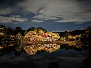 六義園に投稿された画像（2023/11/25）