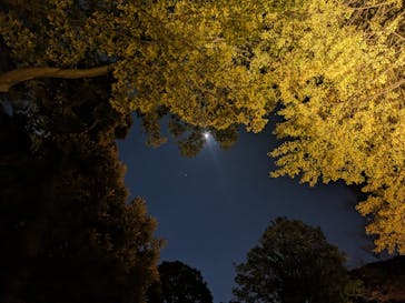 六義園に投稿された画像（2023/11/25）