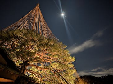 六義園に投稿された画像（2023/11/25）