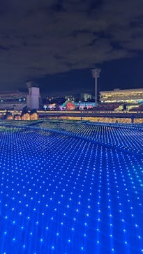 東京メガイルミに投稿された画像（2023/11/25）