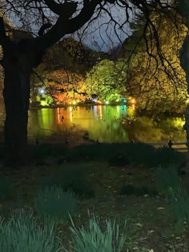 NAKED 紅葉の新宿御苑2023に投稿された画像（2023/11/25）