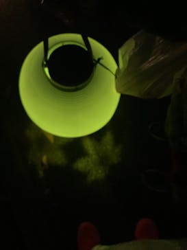 NAKED 紅葉の新宿御苑2023に投稿された画像（2023/11/25）