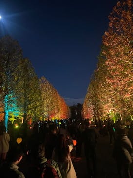 NAKED 紅葉の新宿御苑2023に投稿された画像（2023/11/25）