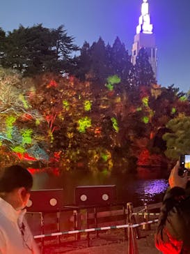 NAKED 紅葉の新宿御苑2023に投稿された画像（2023/11/25）