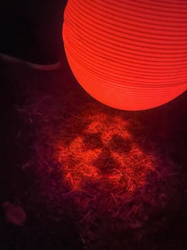 NAKED 紅葉の新宿御苑2023に投稿された画像（2023/11/25）