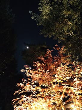 江戸東京たてもの園に投稿された画像（2023/11/25）