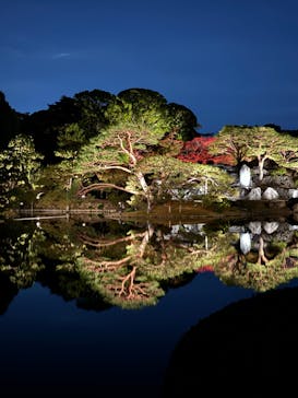 六義園に投稿された画像（2023/11/25）