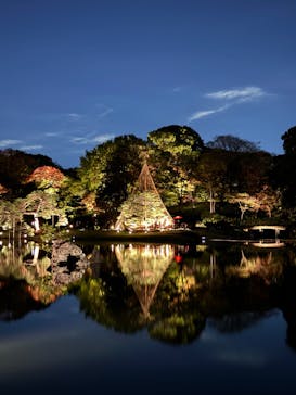 六義園に投稿された画像（2023/11/25）