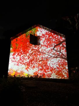 六義園に投稿された画像（2023/11/25）