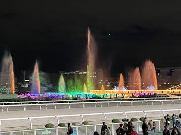 東京メガイルミに投稿された画像（2023/11/25）