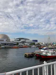 名古屋港水族館に投稿された画像（2023/11/25）