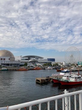 名古屋港水族館に投稿された画像（2023/11/25）
