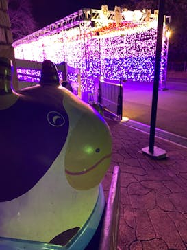 東武動物公園に投稿された画像（2023/11/25）