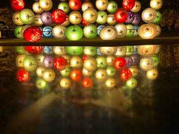 国営昭和記念公園 秋の夜散歩に投稿された画像（2023/11/25）