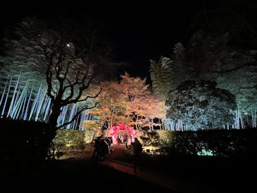 国営昭和記念公園 秋の夜散歩に投稿された画像（2023/11/25）