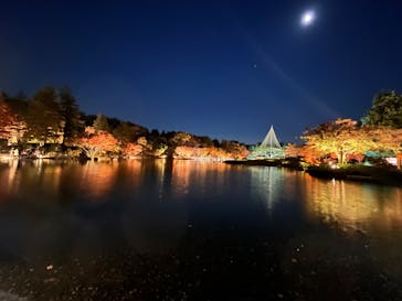 国営昭和記念公園 秋の夜散歩に投稿された画像（2023/11/25）