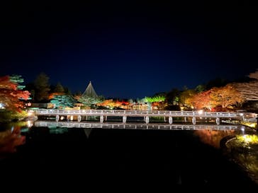国営昭和記念公園 秋の夜散歩に投稿された画像（2023/11/25）